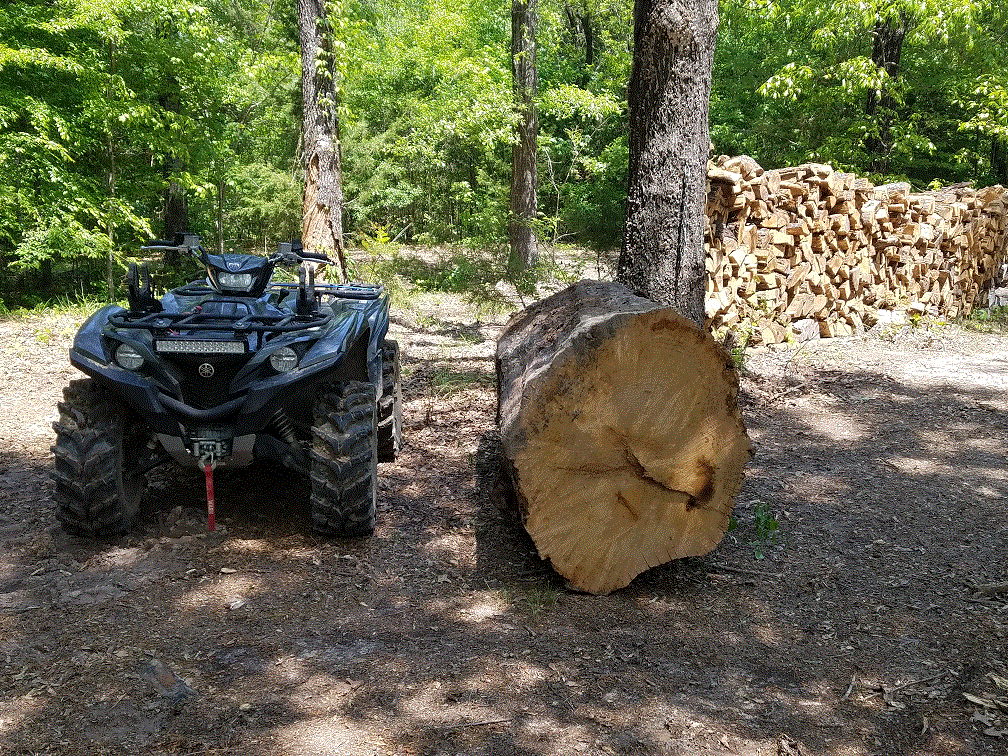 Big Log next to 4-wheeler.gif